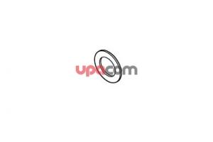 Sealing ring
